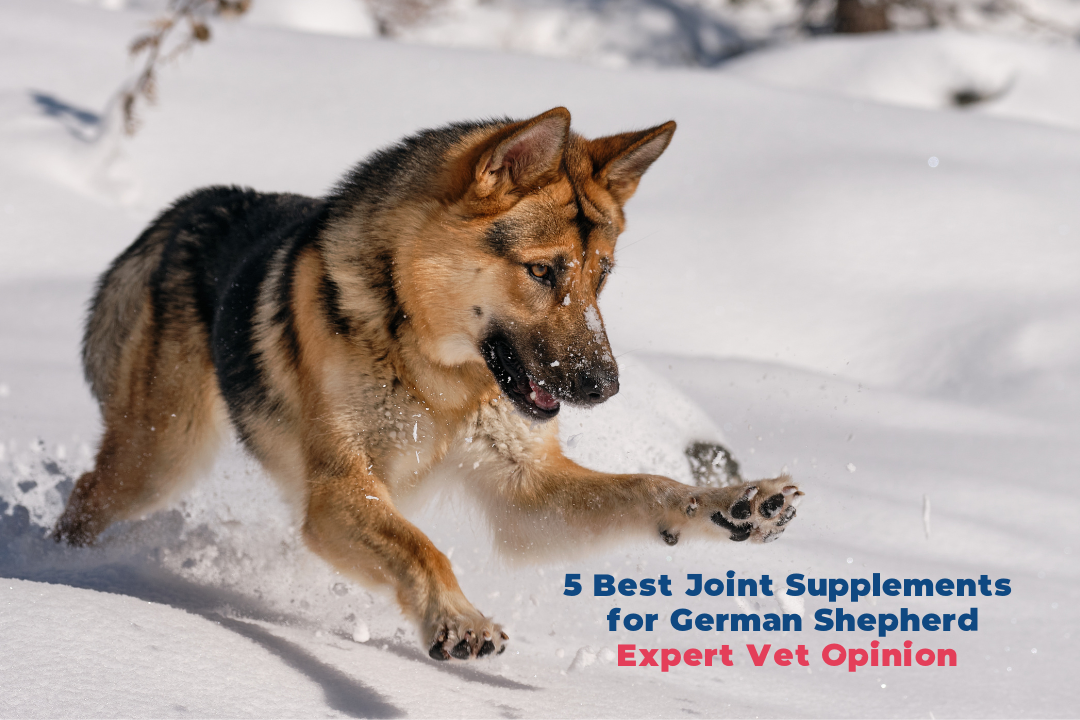 Best supplements sales for german shepherds