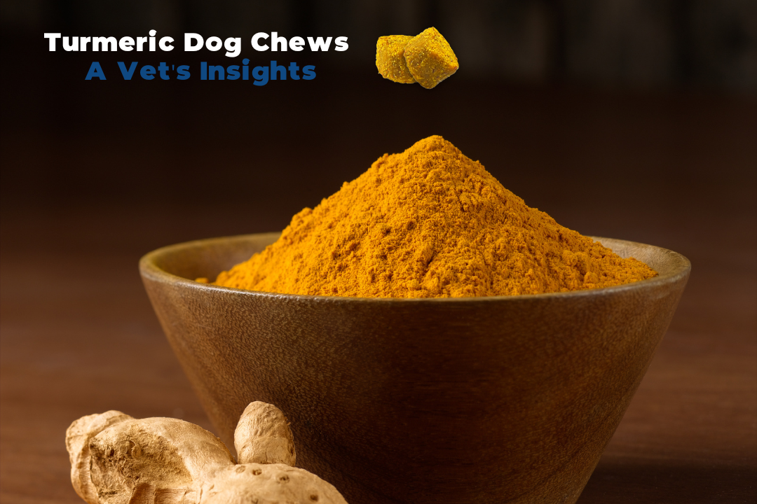 Turmeric dog chews discount