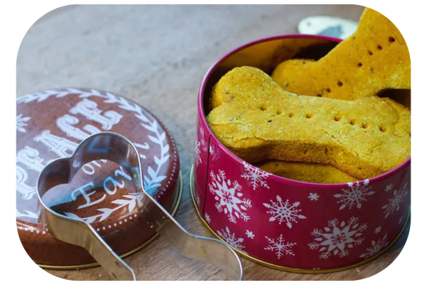 Perfect Turmeric Snack for Any Four Legged Friend Dogs Cat