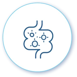 Proven Gut Support