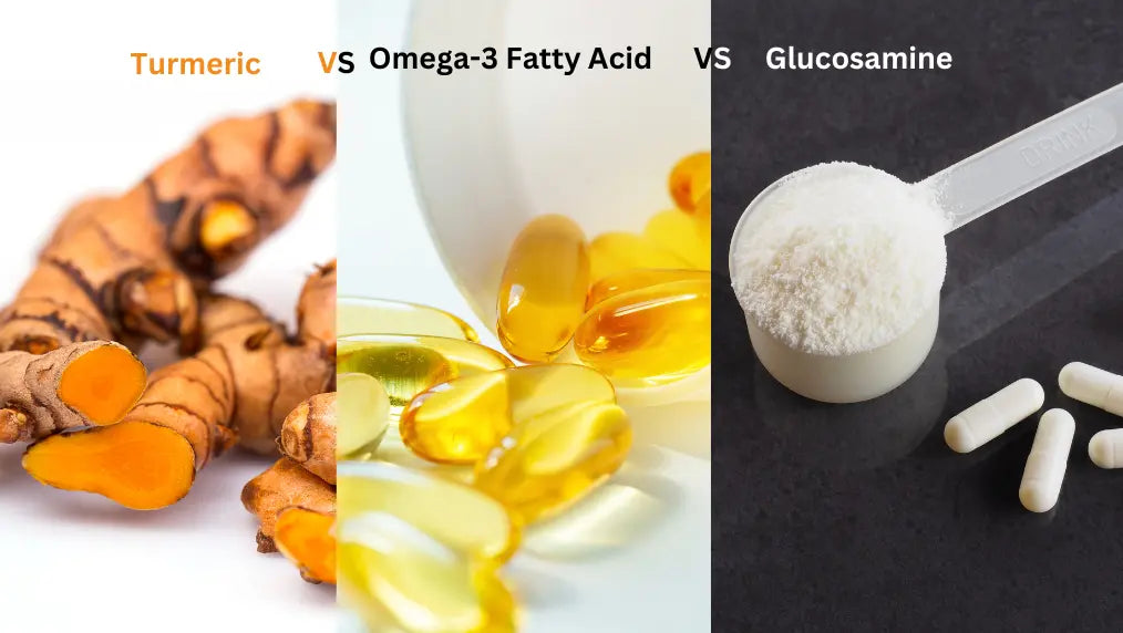 Alternatives to Glucosamine For Dogs