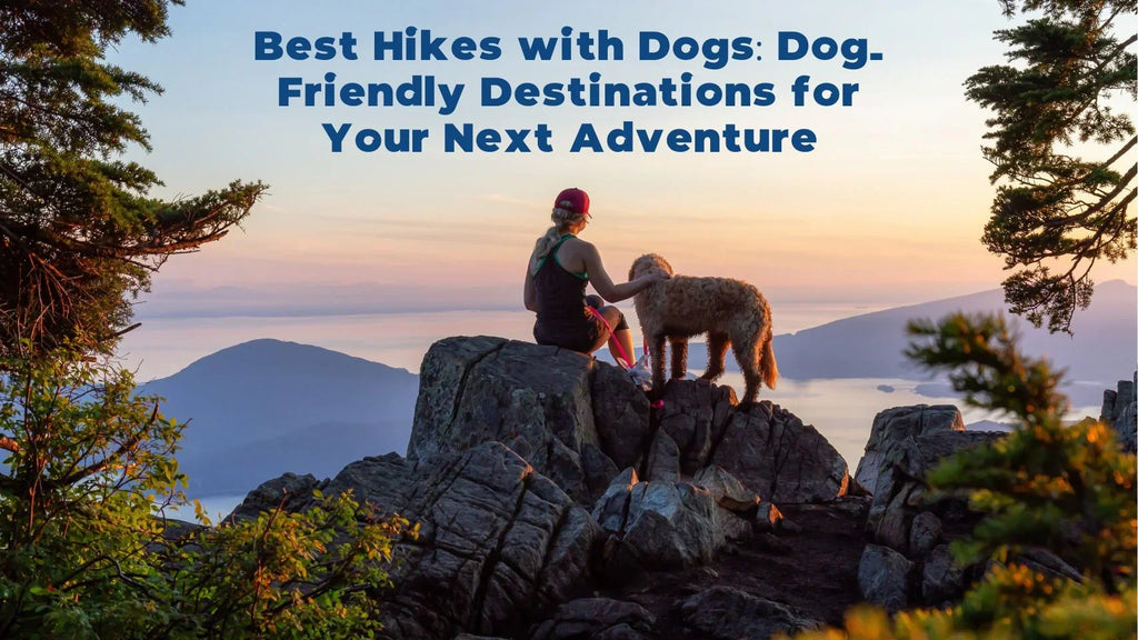 Best Hikes with Dogs