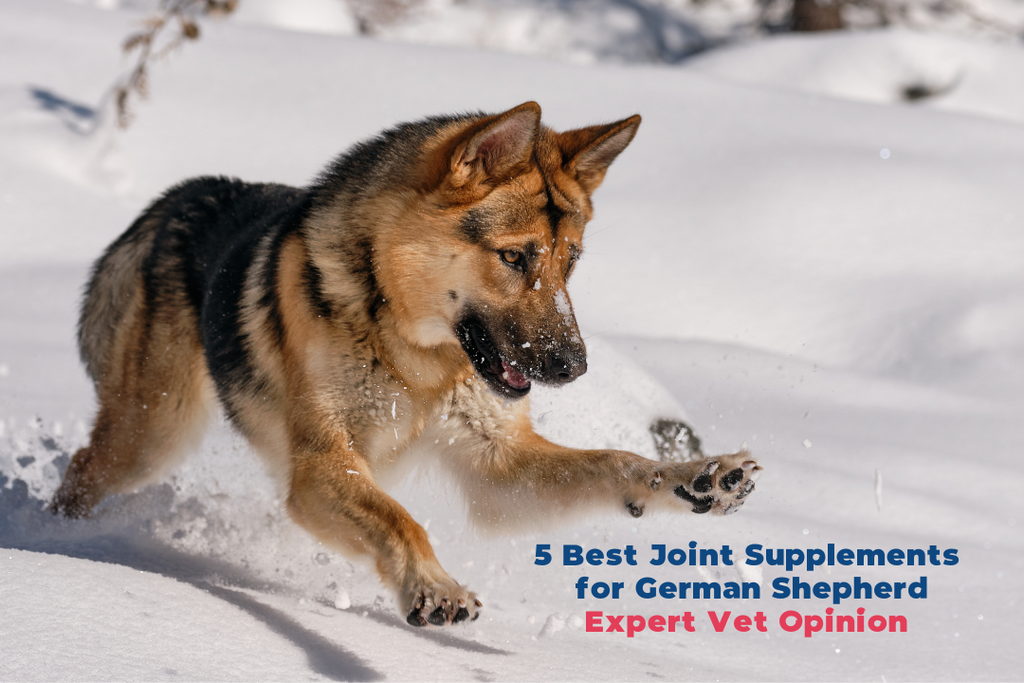 Joint Supplements for German Shepherds