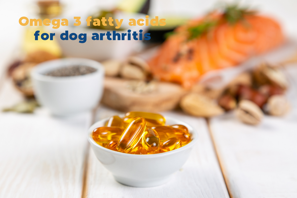 Omega 3 for dog arthritis and pain