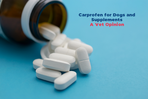 Carprofen for Dogs