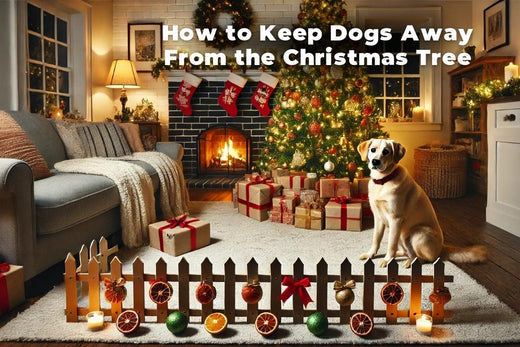 How to Keep Dogs Away From the Christmas Tree