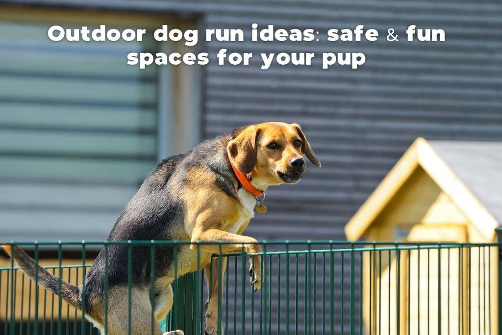 Outdoor dog run ideas