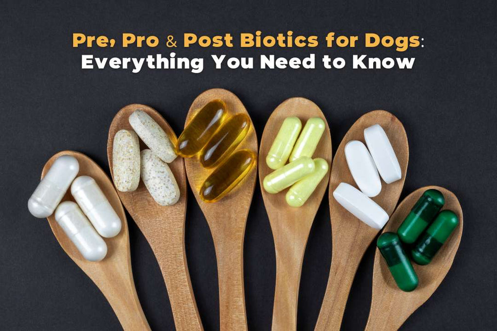 Pre, Pro & Post-Biotics for Dogs