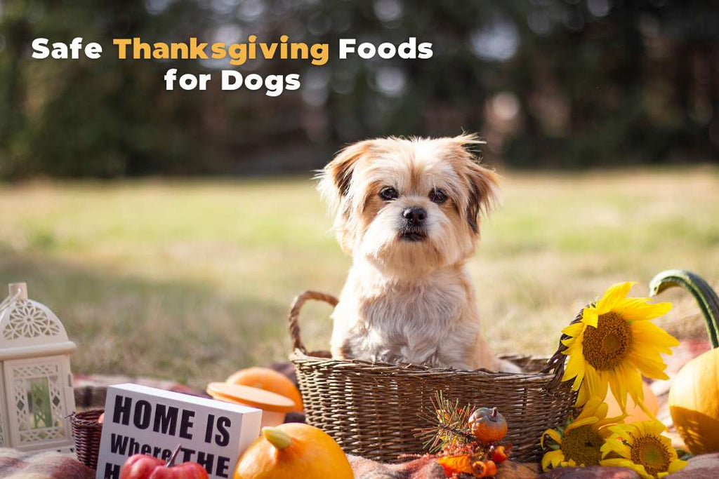 safe food for dogs during thanksgiving, dog food thanksgiving