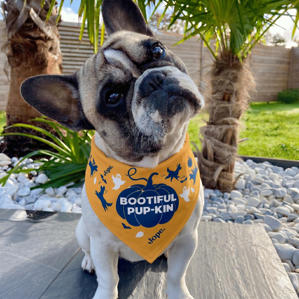 "Bootiful Pup-kin" Yellow Bandana