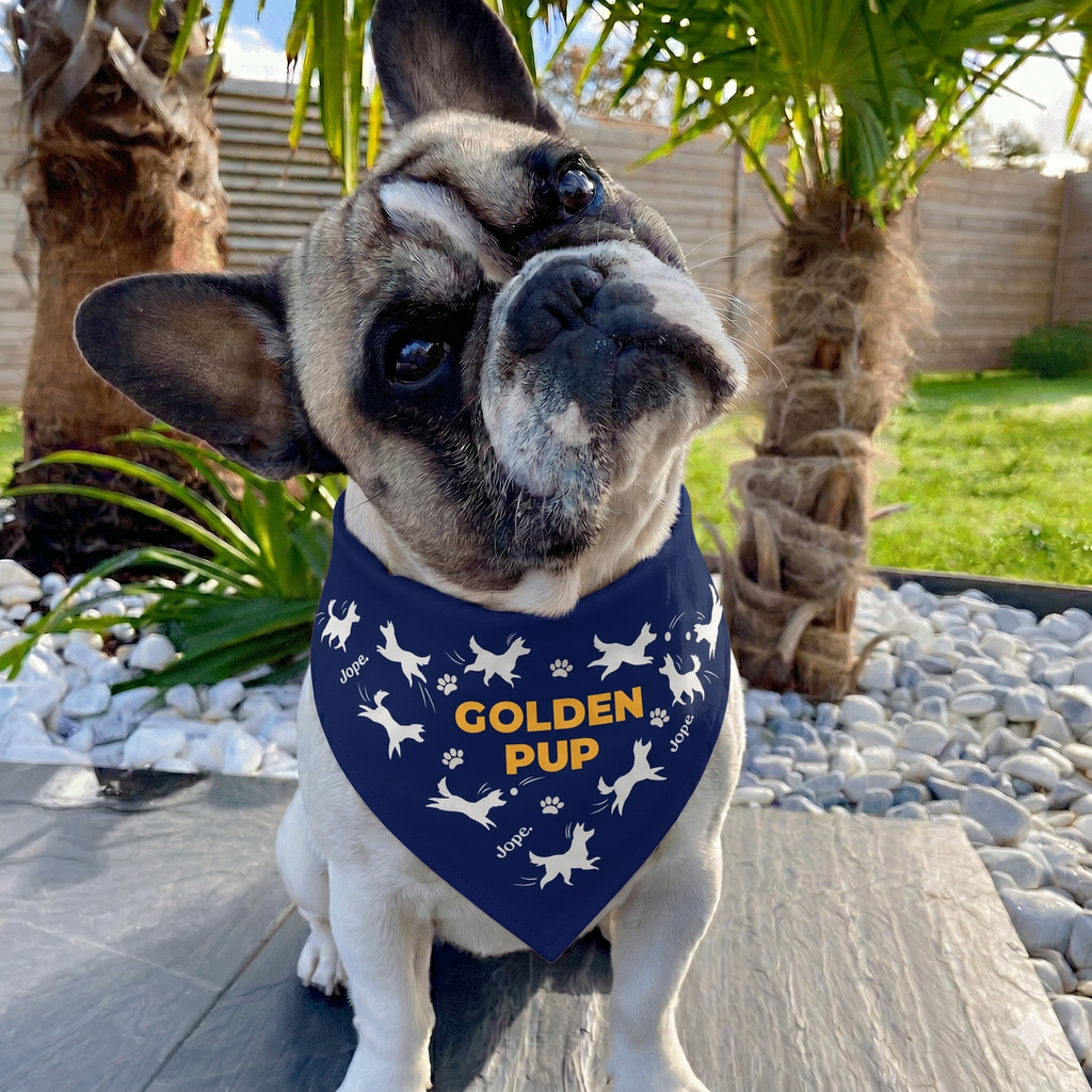"Golden Pup" Blue Bandana