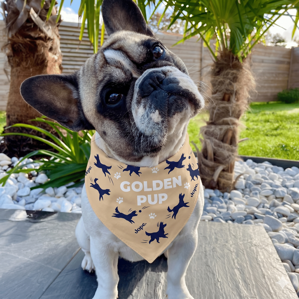 "Golden Puppy" Beige Bandana