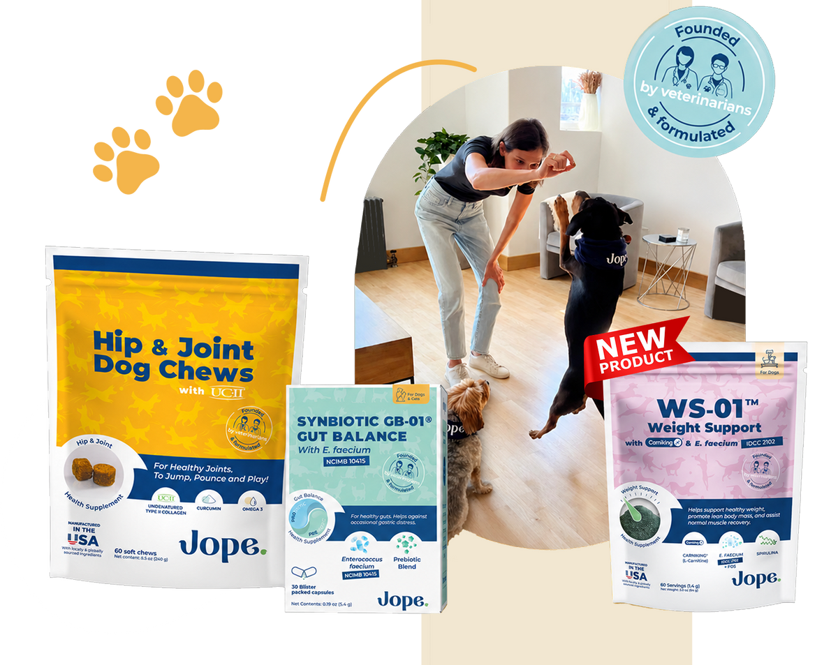 Jope veterinary supplements for joint, gut and weight support