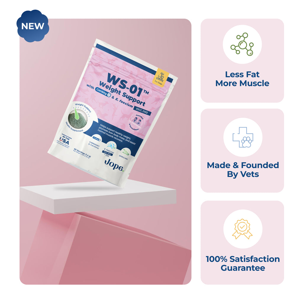 WS 01 weight support supplement package on a pink background with product features highlighted.