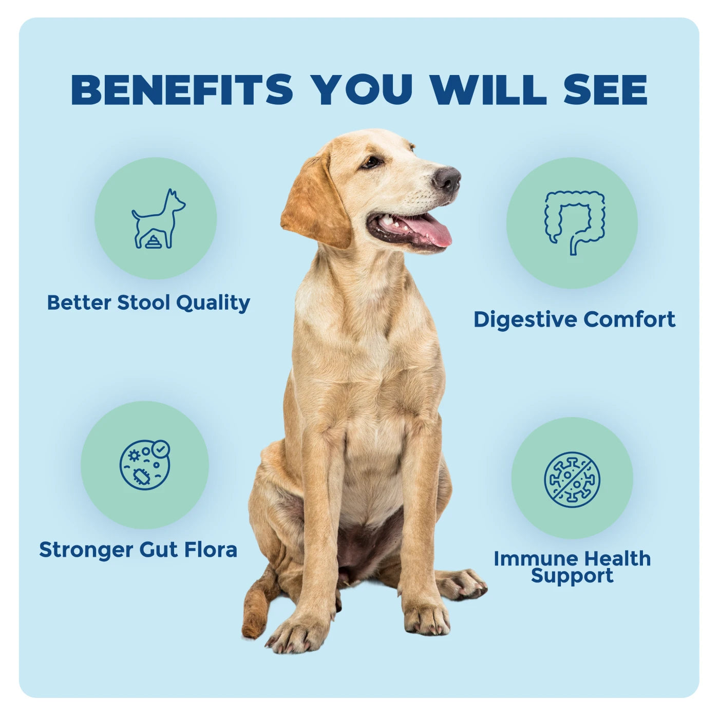 benefits of probiotic for dog