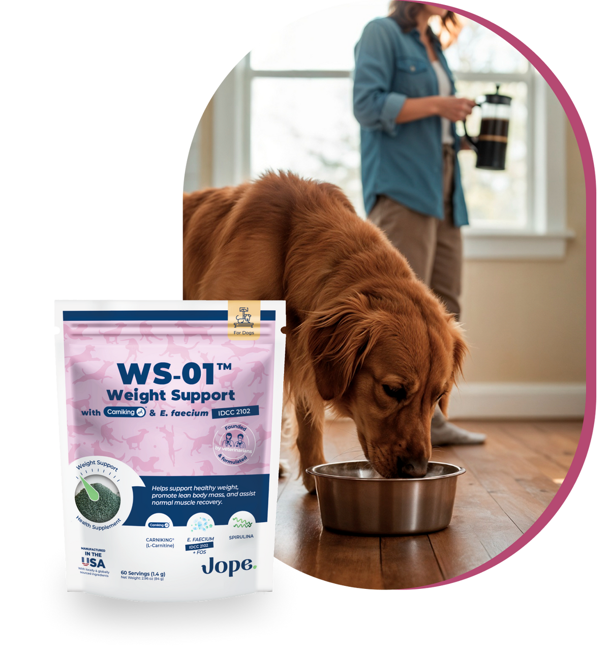 WS-01 Weight Support with dog