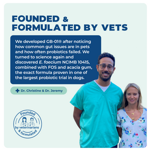 Synbiotic GB-01 - Gut Balance - 30 count - Probiotic for dogs and cats