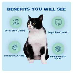 Synbiotic GB-01 - Gut Balance - 30 count - Probiotic for dogs and cats