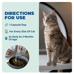 Synbiotic GB-01 - Gut Balance - 30 count - Probiotic for dogs and cats