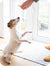 You give lots of <strong>treats</strong> or your pup is on a <strong>high-calorie diet</strong>