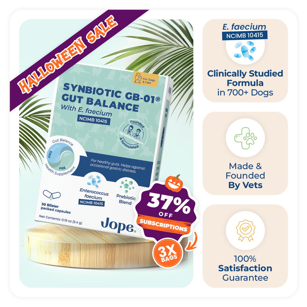 Jope synbiotic gb-01 gut balance halloween sale offer 37% off 