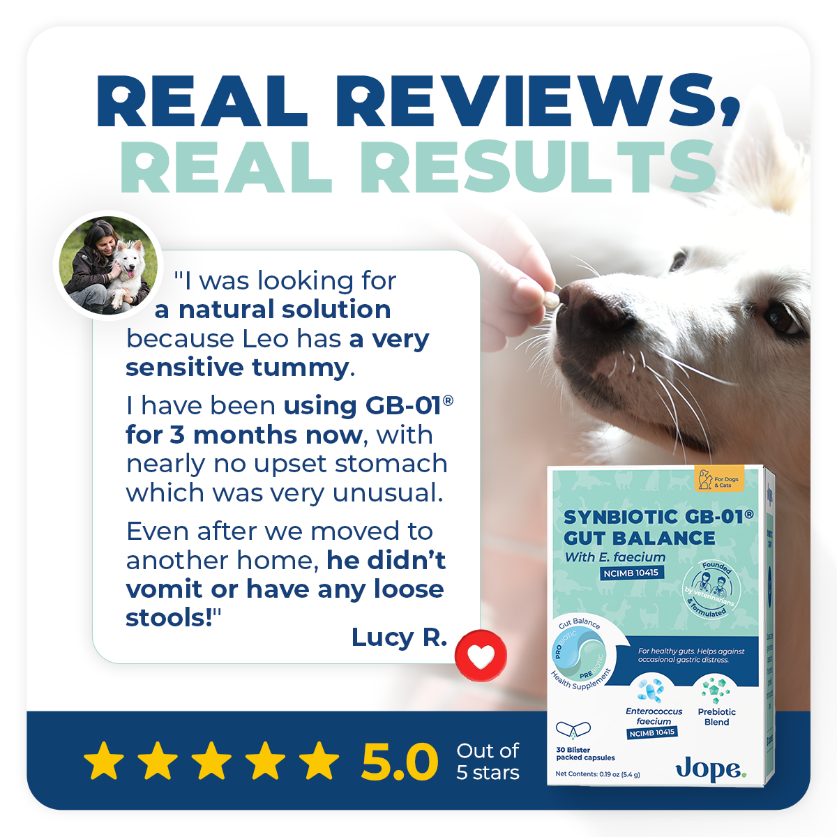 top probiotics for dogs