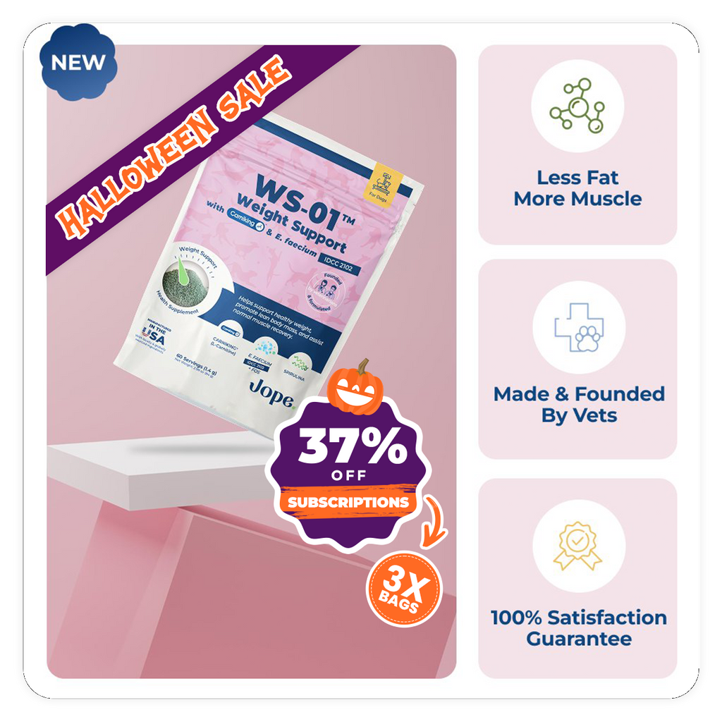 WS 01 weight support supplement package on a pink background with product features highlighted.