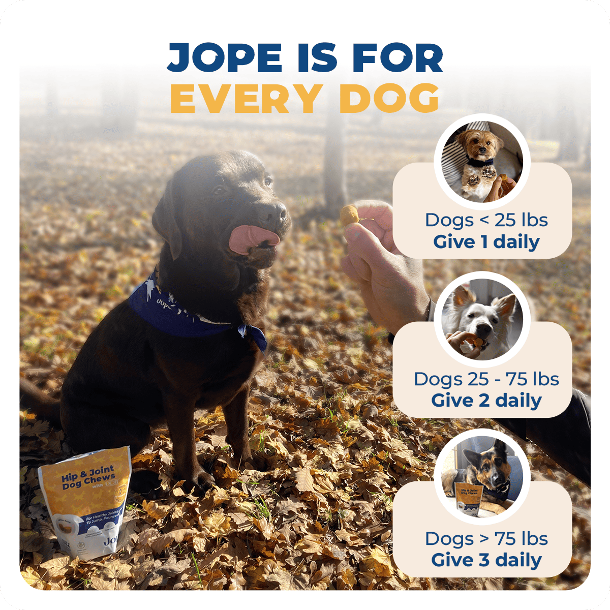 Jope Hip and Joint dog chews are for every size of dogs (french bulldog, Labrador Retrievers, French Bulldogs, Golden Retrievers, German Shepherd Dogs, Poodles, Bulldogs, Beagles, Rottweilers, Pointers - German Shorthaired, and Dachshunds for example). Use one, two, or three chews according to your dog's weight.