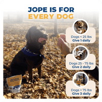 Jope Hip and Joint dog chews are for every size of dogs (french bulldog, Labrador Retrievers, French Bulldogs, Golden Retrievers, German Shepherd Dogs, Poodles, Bulldogs, Beagles, Rottweilers, Pointers - German Shorthaired, and Dachshunds for example). Use one, two, or three chews according to your dog's weight.