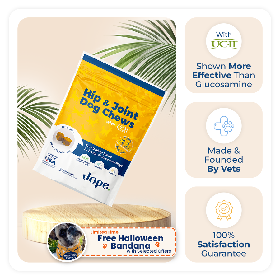 Jope best joint supplement for dogs, veterinarian-owned, with UC-II collagen and Omega-3s proven more effective than glucosamine, free Halloween bandana for selected offers