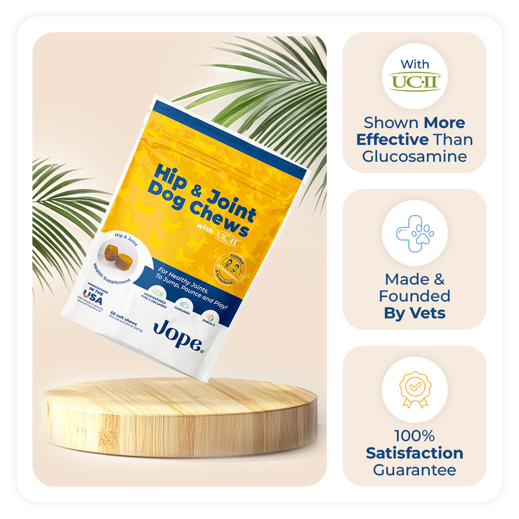 Jope best joint supplement for dogs, veterinarian-owned, with UC-II collagen and Omega-3s proven more effective than glucosamine