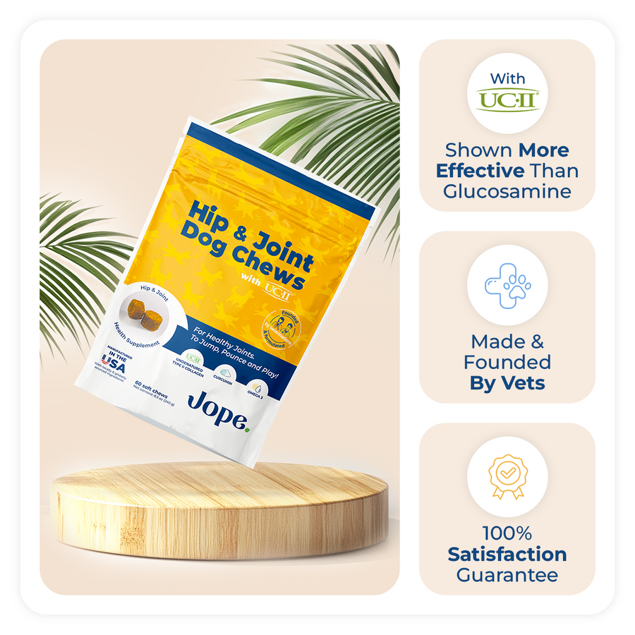 Jope Hip & joint dog chews with UC-II collagen, high doses of omega 3 and curcumin from turmeric for dog's arthritis.