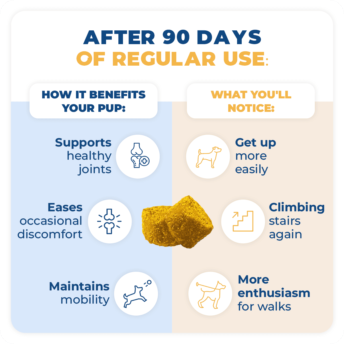 Jope joint dog chews supplements results