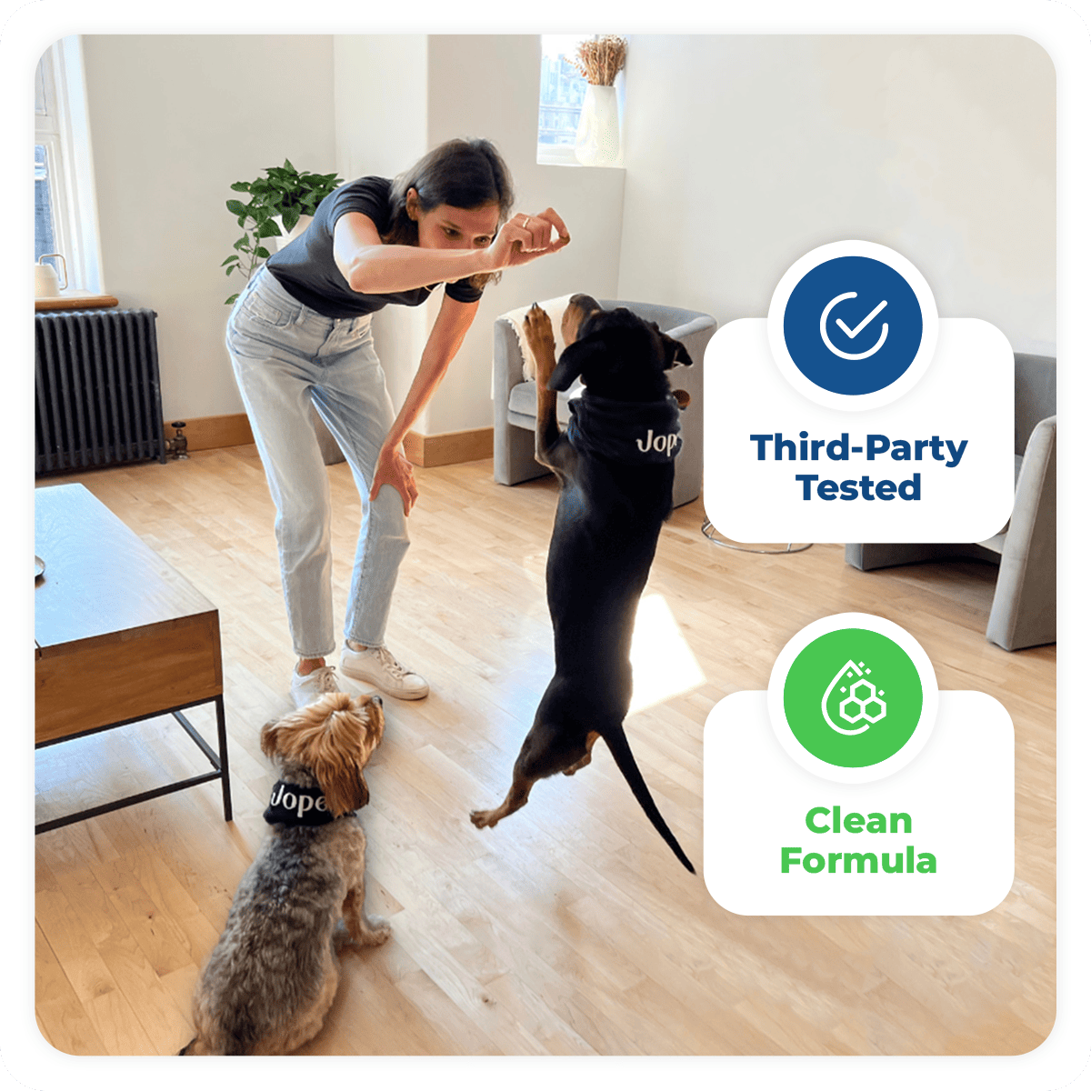 Jope is for every size of dogs and help them to stay active and healthy by protecting their joints with organic ingredients.