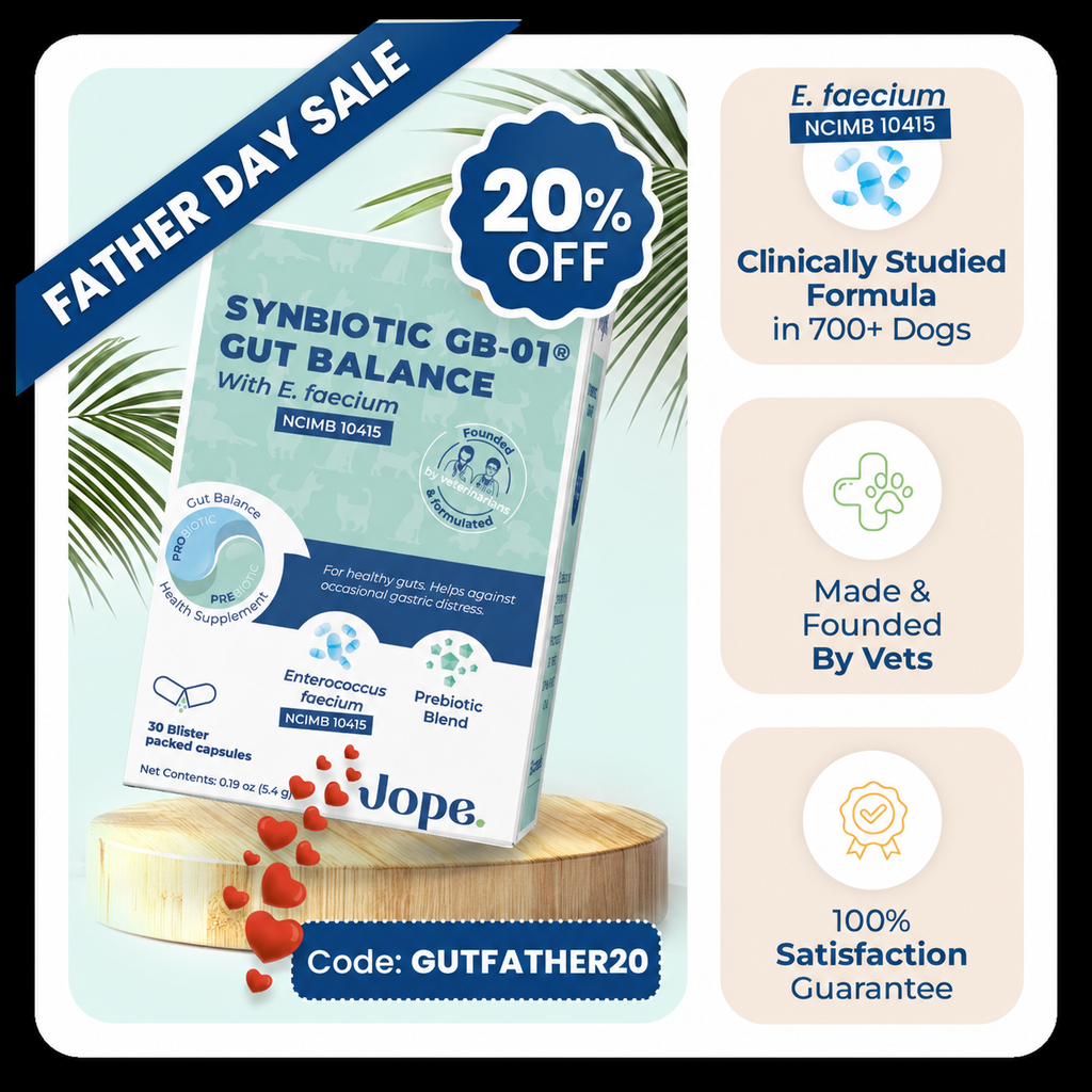JOPE Synbiotic GB-01  with prebiotics and probiotic father day sale