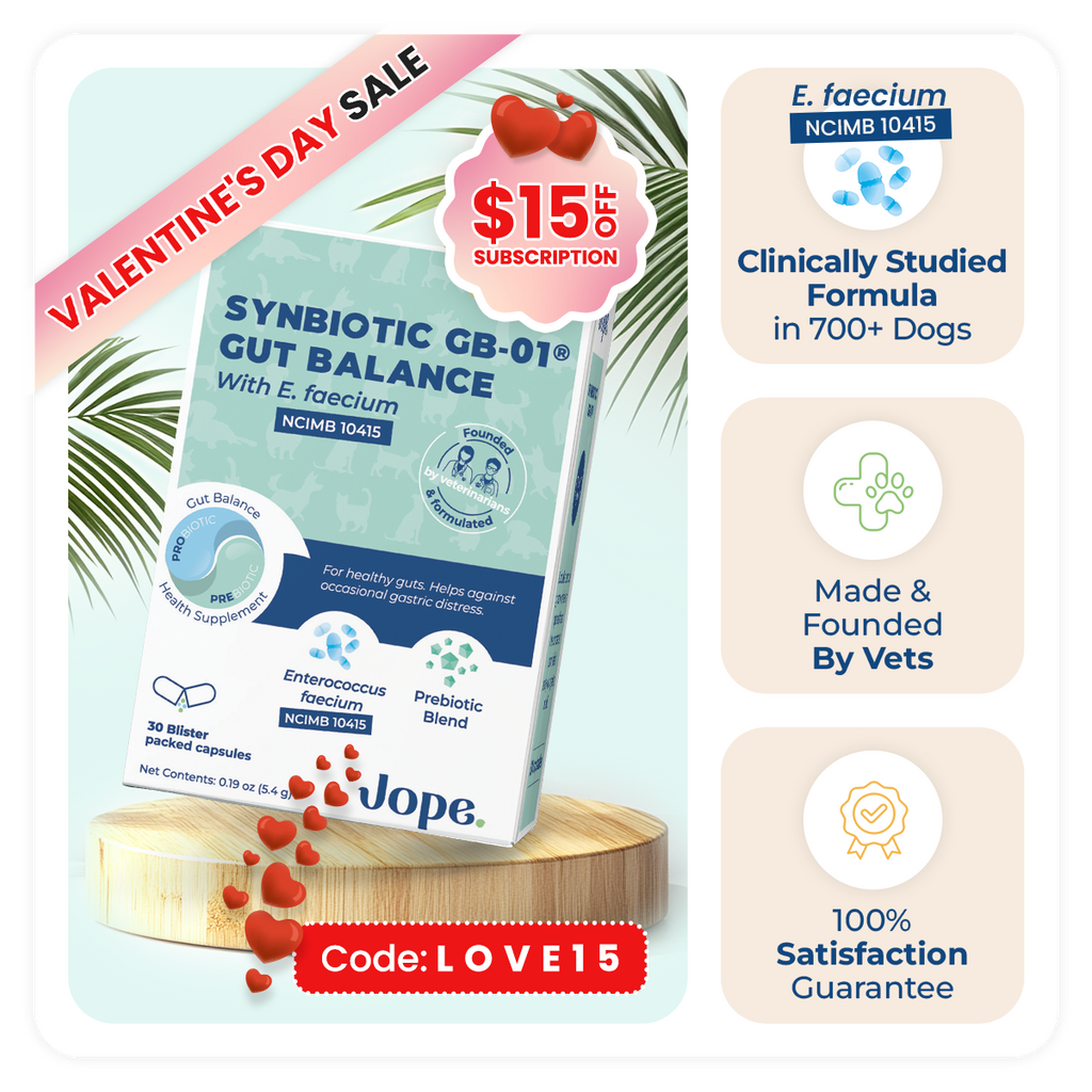 Valentine Day Sale Up to 60% Jope probiotics for dogs and cats, best probiotics for dogs, dog probiotics