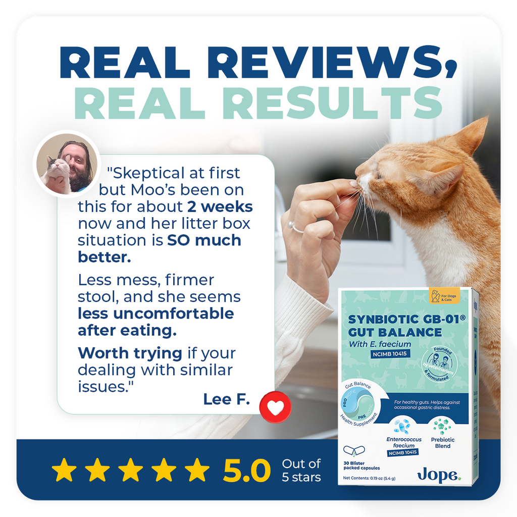 Synbiotic GB-01 - Gut Balance - 30 count - Probiotic for dogs and cats