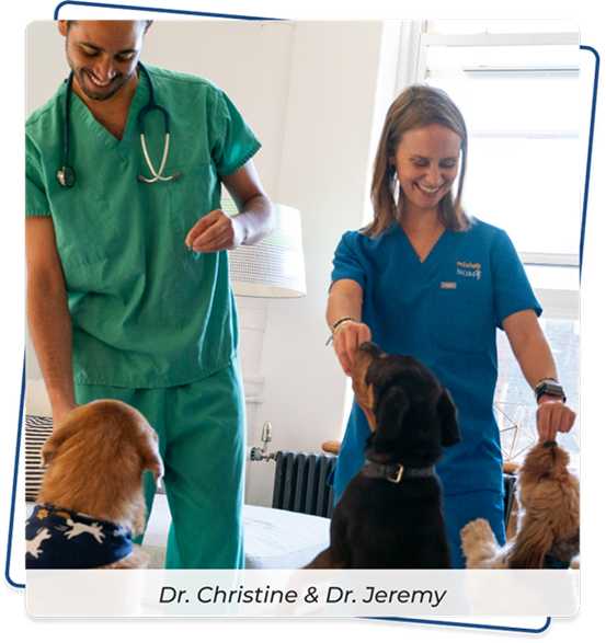 Jope founders Dr. Christine and Dr. Jeremy