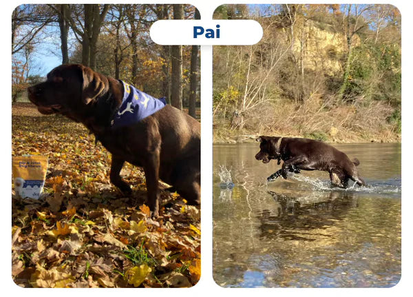 Jope allows Pai to enjoy her youth!